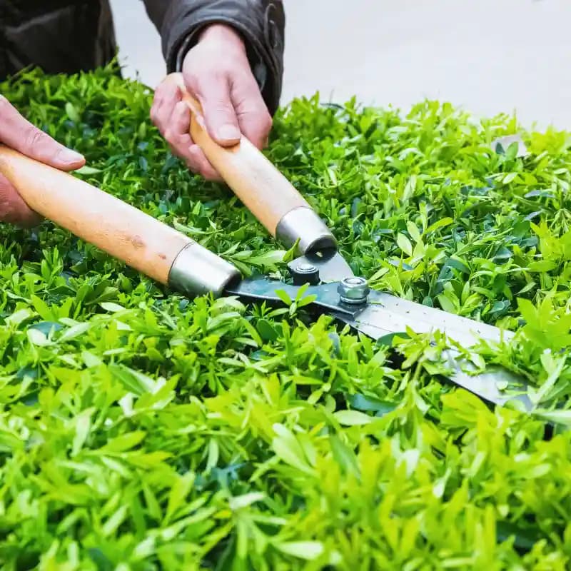Garden Care