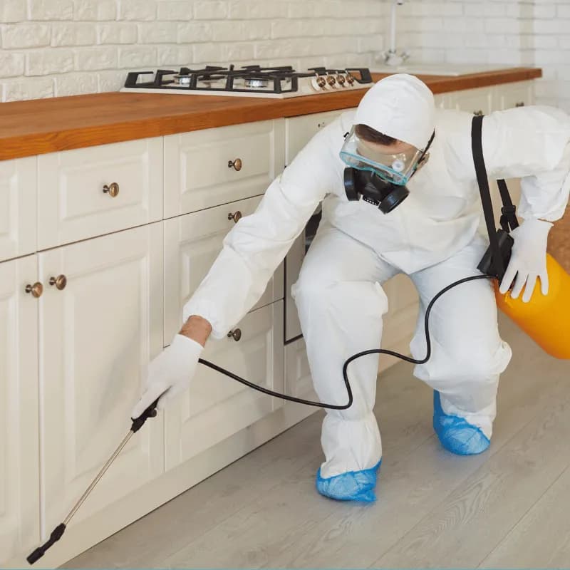 Pest Control