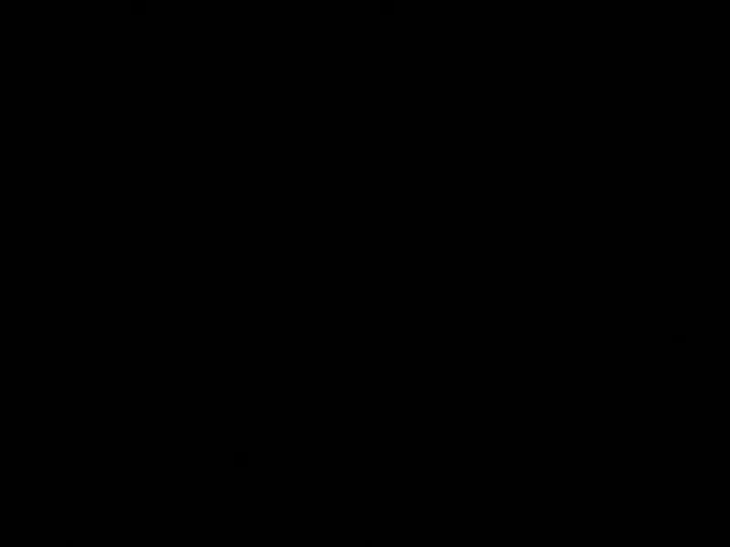 Hael Salama