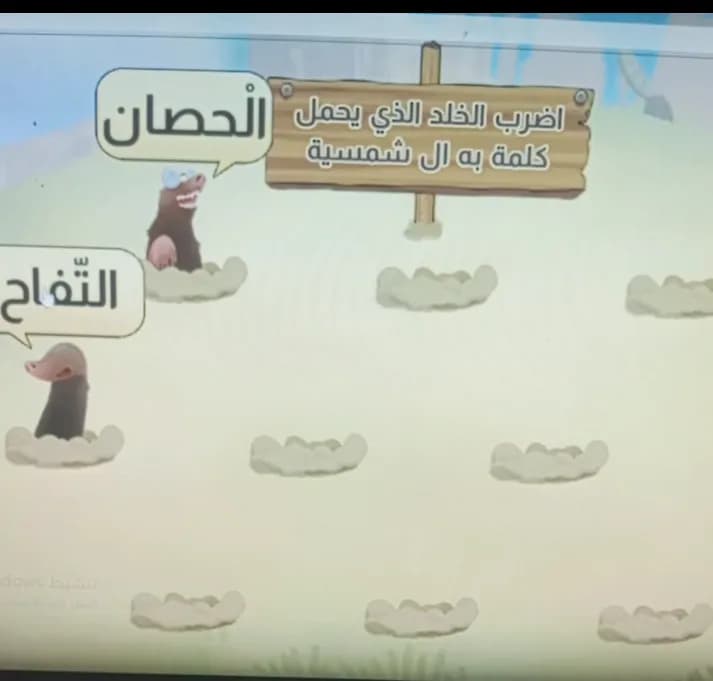 أكاديمية لا نُنسى - 5