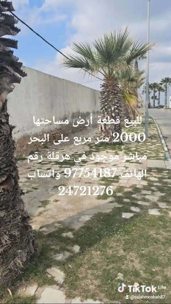أرض