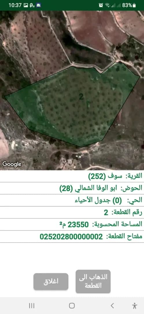 اسامه