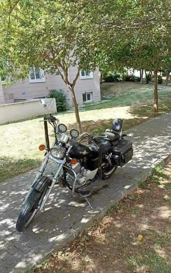 Regal Raptor 2016 temiz - 2