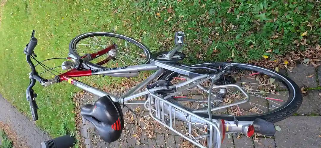 Pegasus top Fahrradبسكليت - 2