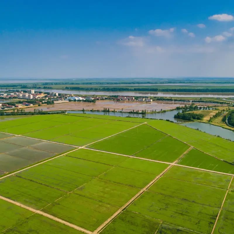 Lands