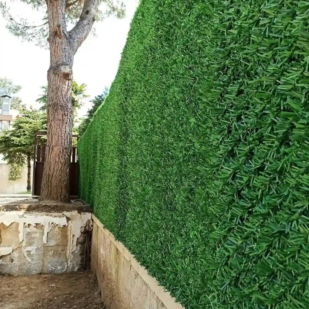 عشب سياج 350 المتر المربع